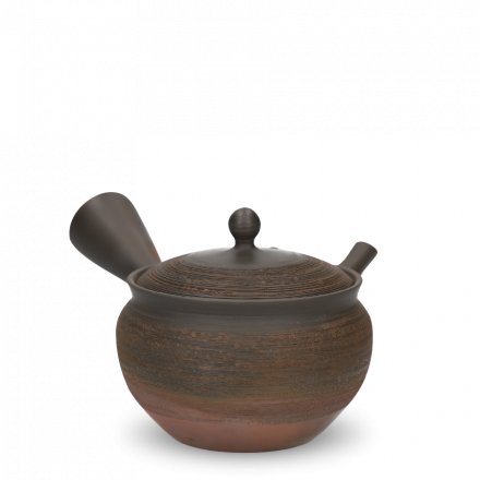 Kyusu Tokoname Gyokko Yohen