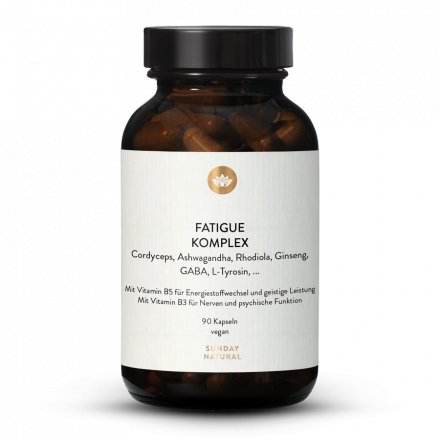 Fatigue Komplex