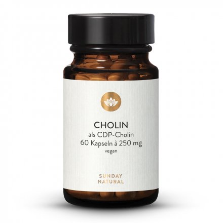 CDP-Cholin 250mg Kapseln