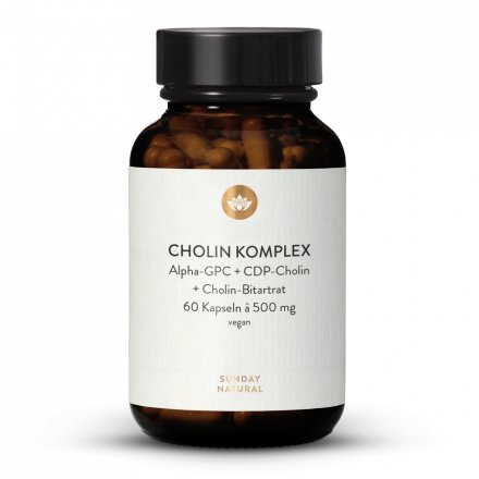 Cholin Komplex 500mg Kapseln