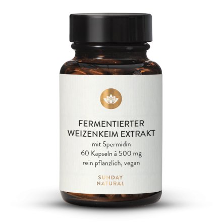 Weizenkeim-Extrakt 120µg Spermidin