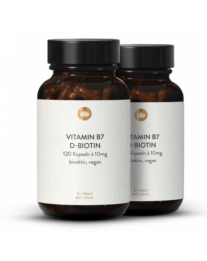 Vitamin B1 B3 B5 B6 B12 Biotin Folsäure & Cholin Inositol PABA Betain