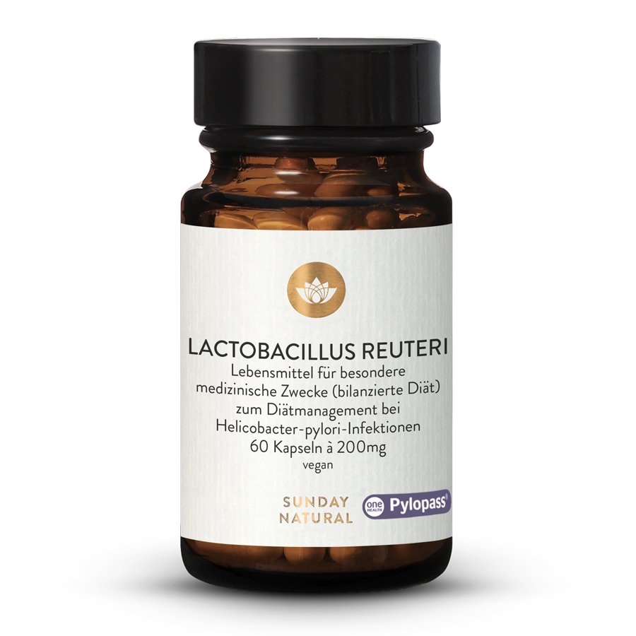 Magen & Helicobacter Pylori 