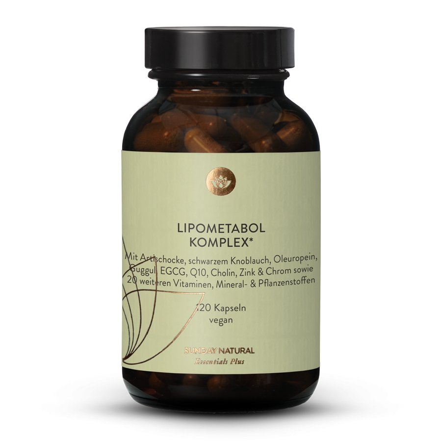 Cholesterin & Blutfette