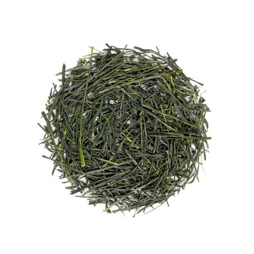 Shincha 2023